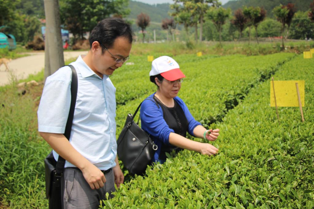 教师进农户，理论下基层——J9直营集团全体党员教师赴英山县乌云山村学习调研